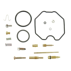 Bronco Karbiuratoriaus rem. kompl. Artic Cat 250 06-07