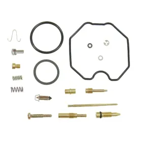 Bronco Karbiuratoriaus rem. kompl. Artic Cat 250 06-07