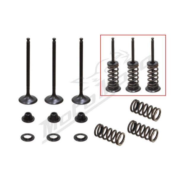 Psychic intake valves set. Yamaha / GasGas 250-300cc 01-15