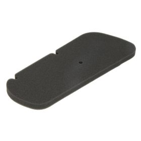 RMS Oro filtro kempinė Honda FES 125-150cc Pantheon 1998–2002