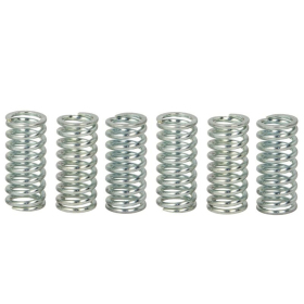 TRW Sankabos spyruoklių kompl. Gas Gas / Honda / KTM / Yamaha 125-750 77-16