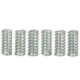 TRW Sankabos spyruoklių kompl. Gas Gas / Honda / KTM / Yamaha 125-750 77-16