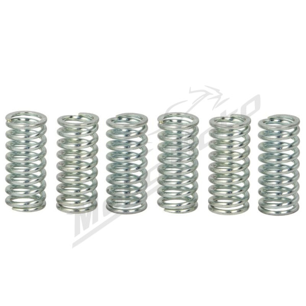 TRW Clutch springs set Gas Gas / Honda / KTM / Yamaha 125-750 77-16