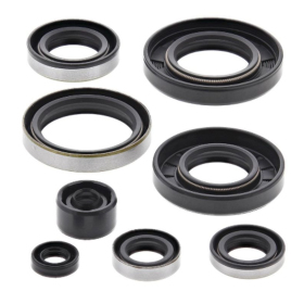 Winderosa (vertex) set of engine seals Kawasaki KX 250 85–86