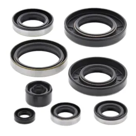 Winderosa (vertex) set of engine seals Kawasaki KX 250 85–86