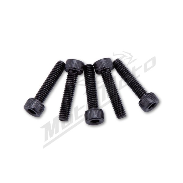 HIGHSIDER Spare Screws For HIGHSIDER EVO Handlebar End Mirror