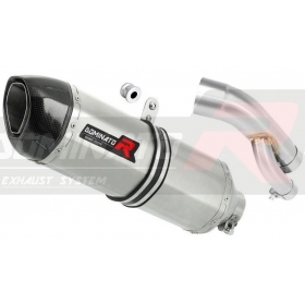 Exhaust silincer Dominator HP1 BMW S1000R 2017-2020