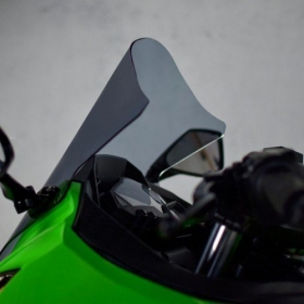 MOTOSHIELDS Stiklas KAWASAKI NINJA 300 2013-2016