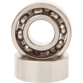 HOT RODS Counter Balancer Bearing Kit