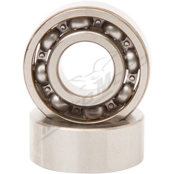 HOT RODS Counter Balancer Bearing Kit