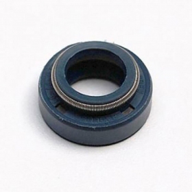 Water pump oil seal TOP PERFORMANCE AM6 50 2T 10x18x8