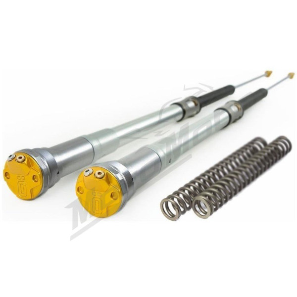 OHLINS T22DR1C1 FCX 2204 Fork Cartridges GasGas / Husqvarna / KTM 125-450cc 21-25