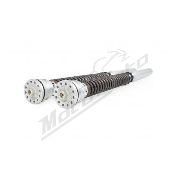 OHLINS NIX30 TTX25S FKR 105 Šakės kasečių kompl. Kawasaki / Suzuki 1000cc 16-22
