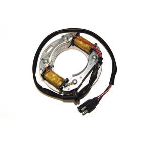 ELECTROSPORT Stator ESC8081 Suzuki RM / TM 80/500 73-11