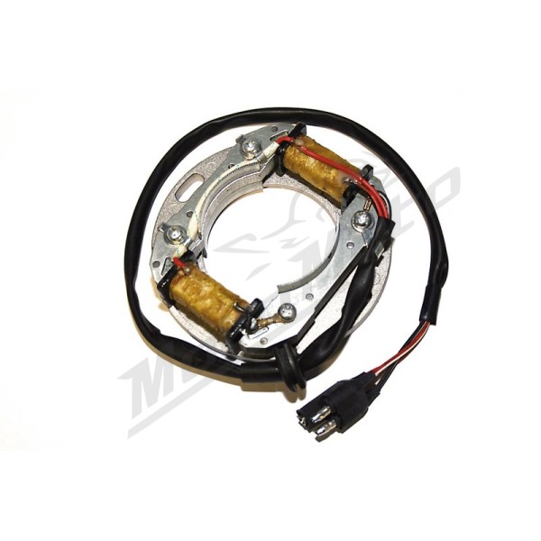 ELECTROSPORT Stator ESC8081 Suzuki RM / TM 80/500 73-11