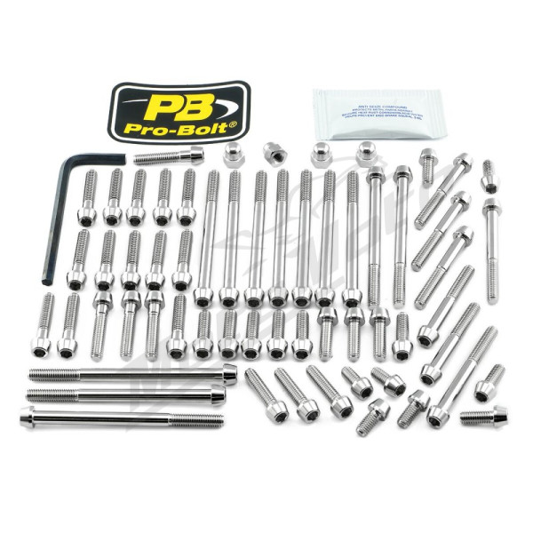 PRO BOLT Stainless Steel Engine Bolt Kit for KTM Super Duke 1290cc 17-23