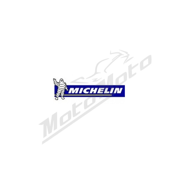 Padanga MICHELIN Anakee Adventure 2 R TL/TT 73V 180/55 R17
