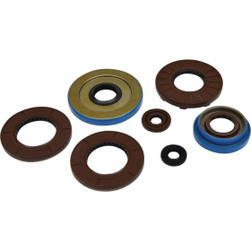 Winderosa (vertex) set (kit) of engine seals Polaris Sportsman / Ranger / Hawkeye / ACE 325 14-16
