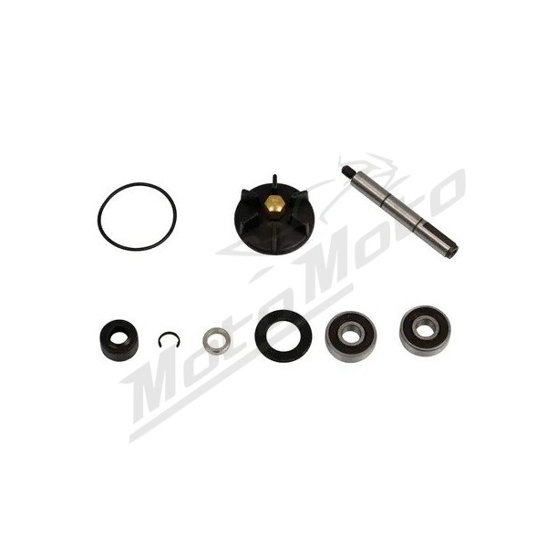 PARTS UNLIMITED Water Pump Repair Kit Gilera / Piagio 50 92-07