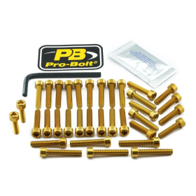 PRO BOLT Variklio varžtų rinkinys Honda CBR 1000 08-16