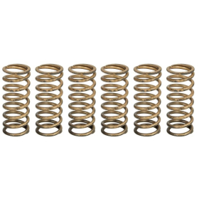 TRW Clutch springs set Aprilia Tuono 1100 15-20