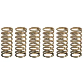 TRW Clutch springs set Aprilia Tuono 1100 15-20