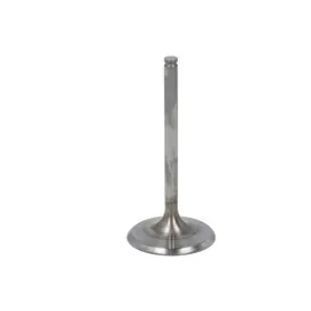 Athena Intake valve Gas Gas / Husqvarna / KTM 450-501 19-23