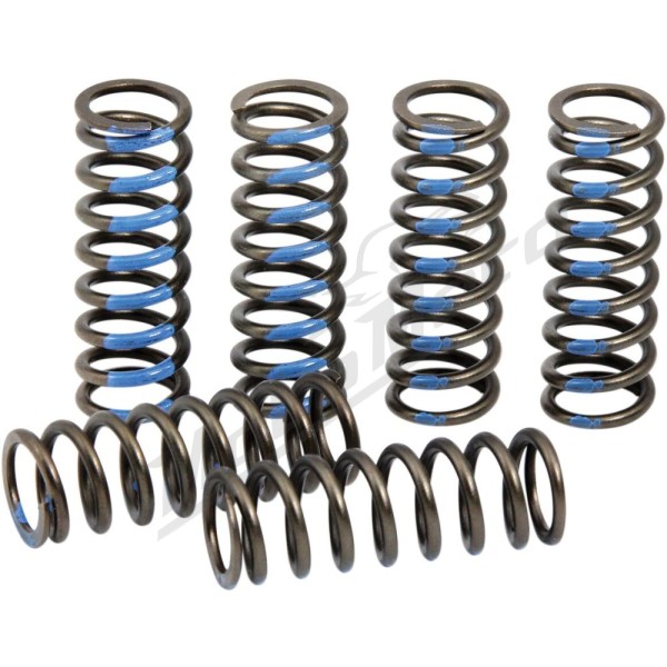 PRO CIRCUIT Clutch Spring Set Yamaha YZ 250F 19-21