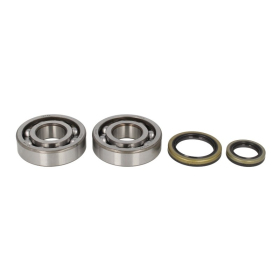 4Ride Crankshaft Bearing Kit SUZUKI RM 250 1996-2002