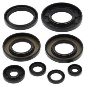 Winderosa engine seal set Yamaha YFM / YXR / YXM 550-700 07-18