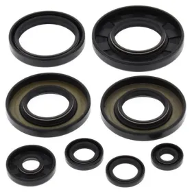 Winderosa engine seal set Yamaha YFM / YXR / YXM 550-700 07-18