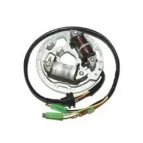 ELECTROSPORT Stator Kawasaki 1995-06