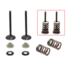 Psychic exhaust valves set Suzuki RM-Z 450cc 07