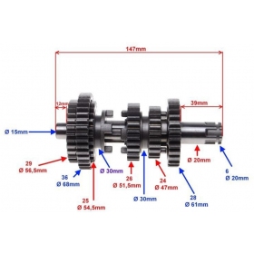 Transmisijos / pavarų dėžės dantratis SHINERAY XY125-10D