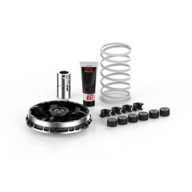 Variatoriaus kompl. MALOSSI Maxi Multivar ​​​​​​​BMW C400 4T