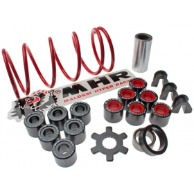 Variator kit MALOSSI MHR Multivar MINARELLI 50cc 2T