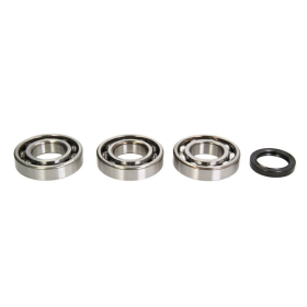 4Ride Crankshaft Bearing Kit Polaris ATP / Hawkeye / Scrambler / Sportsman 400-500cc 98-14