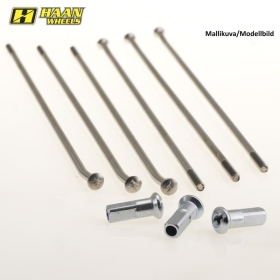 Haan OEM spokeset RM front R21