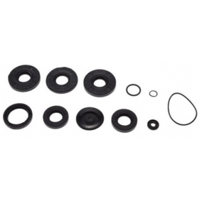 Engine oil seal kit SHL M11 175