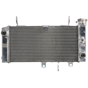 Radiator 4RIDE SUZUKI SV 650 2017-2020