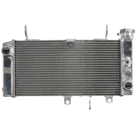 Radiator 4RIDE SUZUKI SV 650 2017-2020