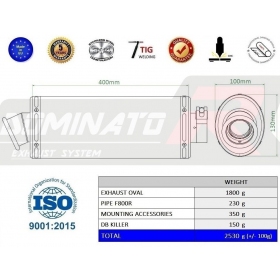 Duslintuvo bakelis Dominator Oval BMW F800R 2009-2019