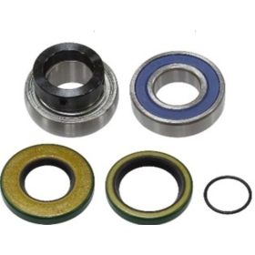 Sno-X grandinės korpuso guolių rinkinys Ski Doo Formula / Grand Touring / Mach 1/Z / MXZ / Summit 600-800 97-01