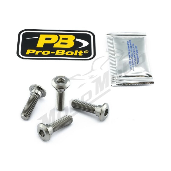 PRO BOLT Stabdžių disko tvirtinimo varžtų rinkinys Kawasaki ER-6 / KLE / KLZ / Ninja 600-1400cc 07-25