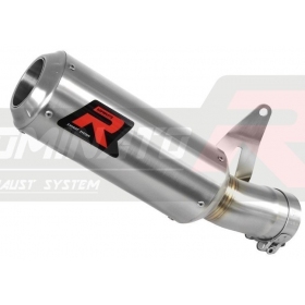 Exhaust silincer Dominator GP BMW S1000R 2021-2022