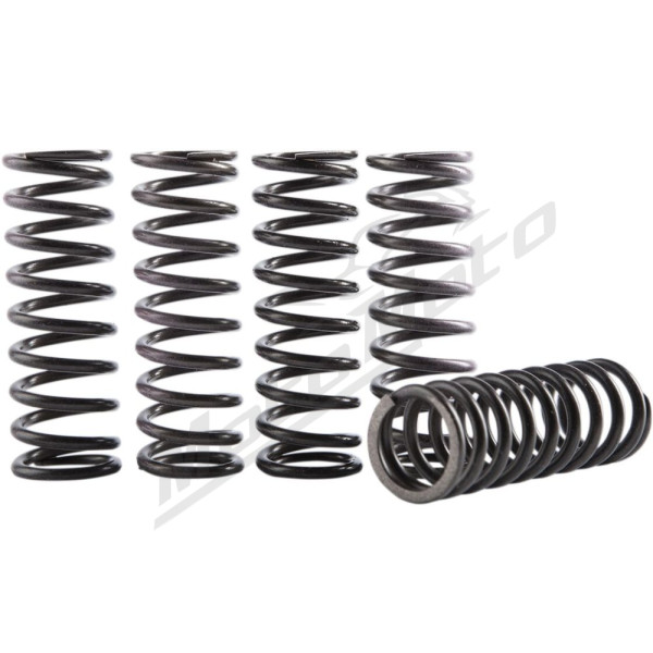 HINSON RACING Clutch Spring Kit Honda / Red Moto 250cc 18-24