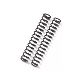 BITUBO FORK SPRINGS FOR KAWASAKI ZX6RR 05-06