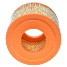 Oro filtro elementas MZ TS 250