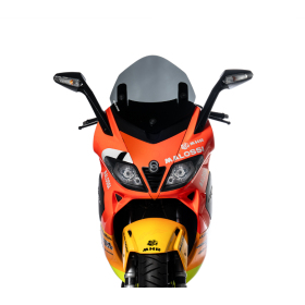 Windscreen MALOSSI Sport Aprilia / Gilera / Malaguti 125-500 06-21 H2O 4T