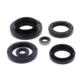 Winderosa (vertex) set of engine seals Kawasaki KVF 750 Brute Force 15-19